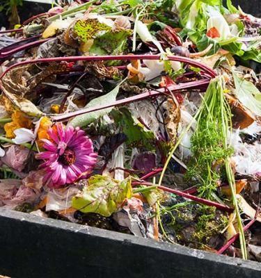 Compostage et recyclage au jardin