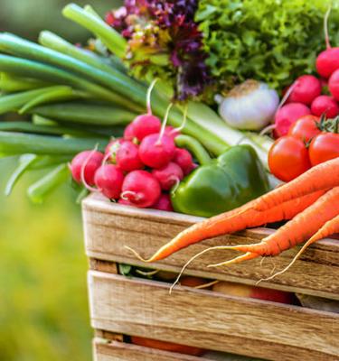 Tips, advies en inspiratie om zelf groenten, fruit en kruiden te kweken