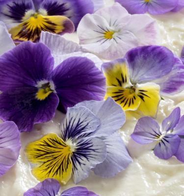 Edible Flower Vanilla Cake Recipe