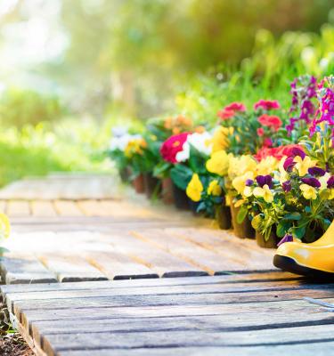 Jardinage : pots, arrosage, terreau, tondeuse et outils