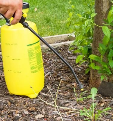 Bouillie bordelaise et alternatives à base de cuivre pour soigner son  jardin. Tout savoir. 