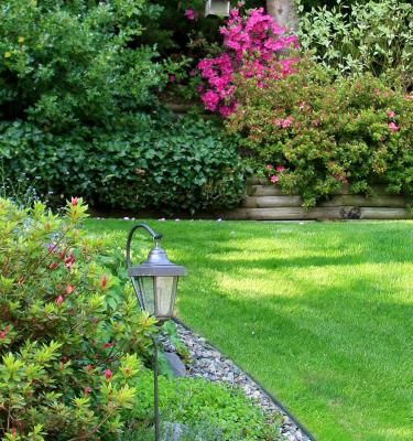 Jardin à la japonaise : La Pause Jardin, tout sur les jardins et massif  Japonais