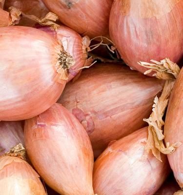 Best Shallots Substitute (9 Super Easy Shallot Alternatives To Use!)