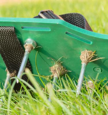 Guide: Utiliser un scarificateur de pelouse