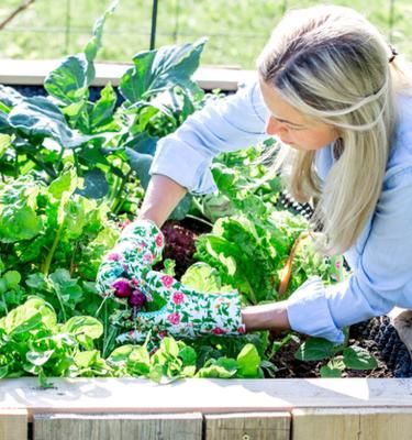 Créer un carré potager sur pieds soi-même