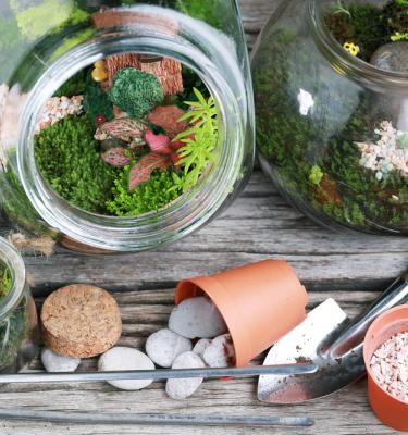 Terrarium bocal en verre fermé - créer un mini jardin - PRÊT A JARDINER