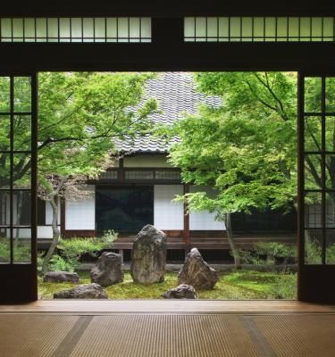 Jardin à la japonaise : La Pause Jardin, tout sur les jardins et massif  Japonais