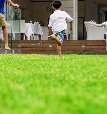 Scotts lawn care products deals