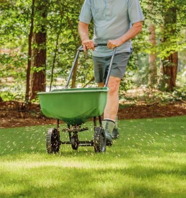 De 10€ à 1500€ : quel épandeur à gazon choisirez vous pour sublimer votre  jardin ?