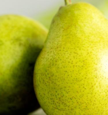 How to grow & care for pear trees in 5 simple steps