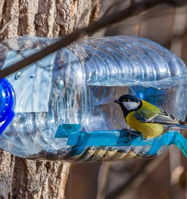 DIY water Feeder for wild bird from pet bottle 