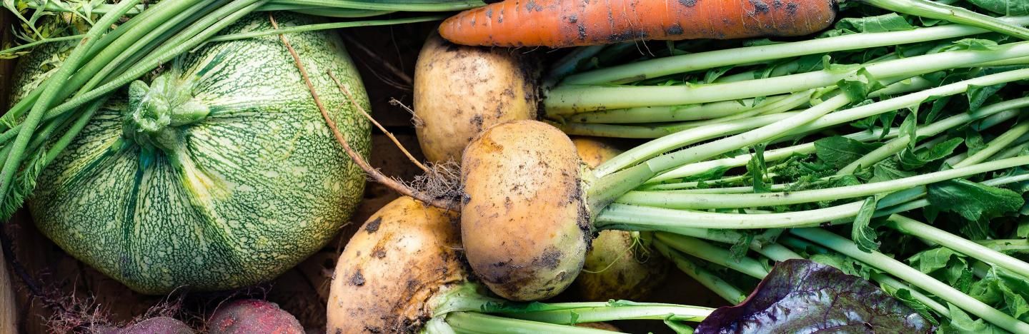vegetables