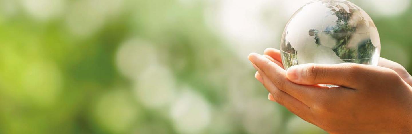 Evergreen Garden Care onderneemt duurzaam