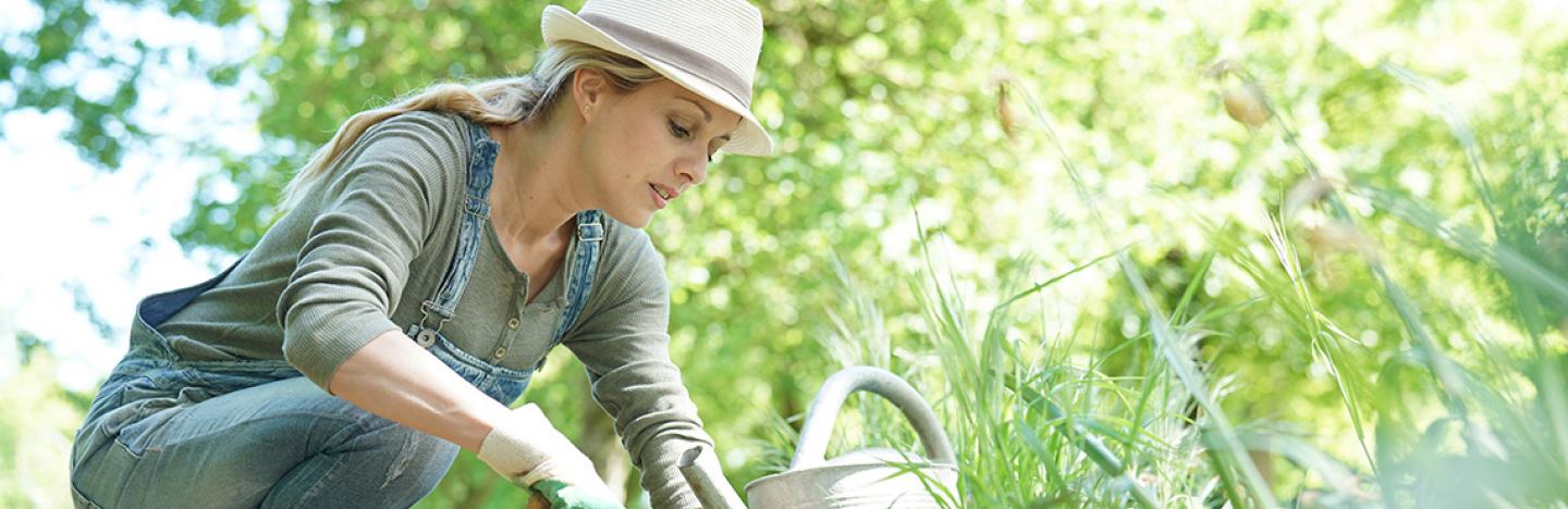 Conseils et faits divers sur le jardinage