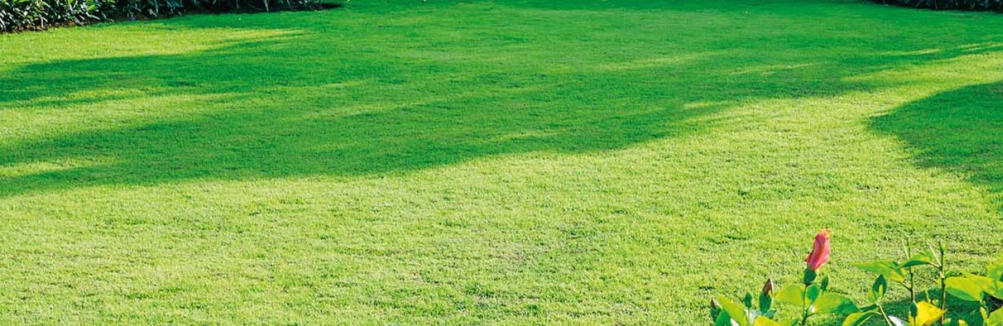 Entretien de la pelouse Substral®. Conseils pour une pelouse verte et saine