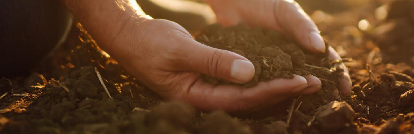 Substral® potgrond. Alles over jouw grond en bodem