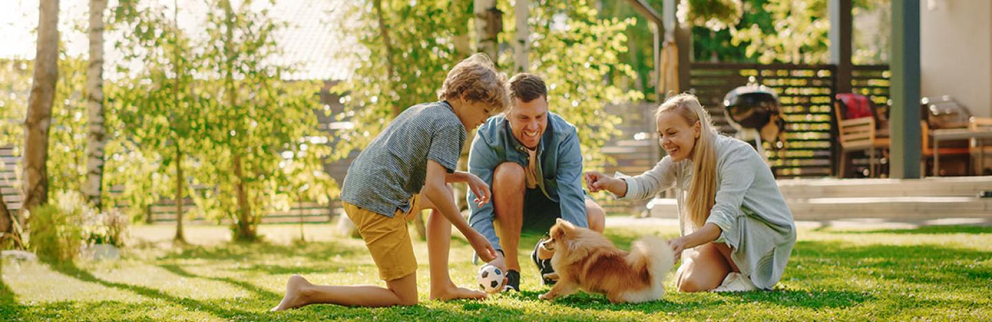 Tips en advies voor miximaal tuinplezier
