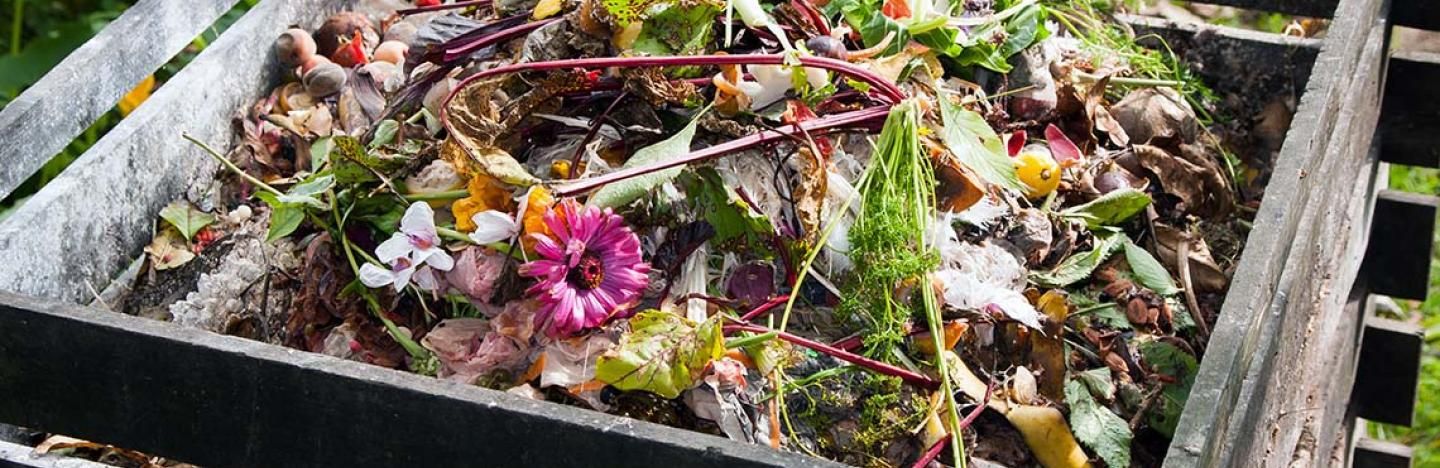 Tips en advies om te recycleren en te composteren in je tuin