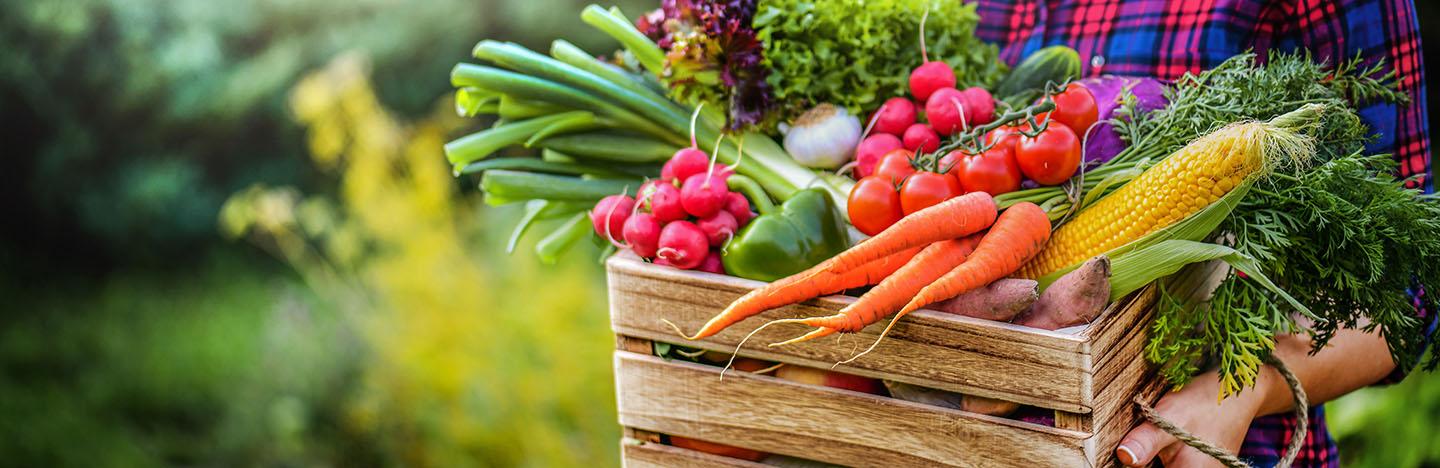 Tips, advies en inspiratie om zelf groenten, fruit en kruiden te kweken