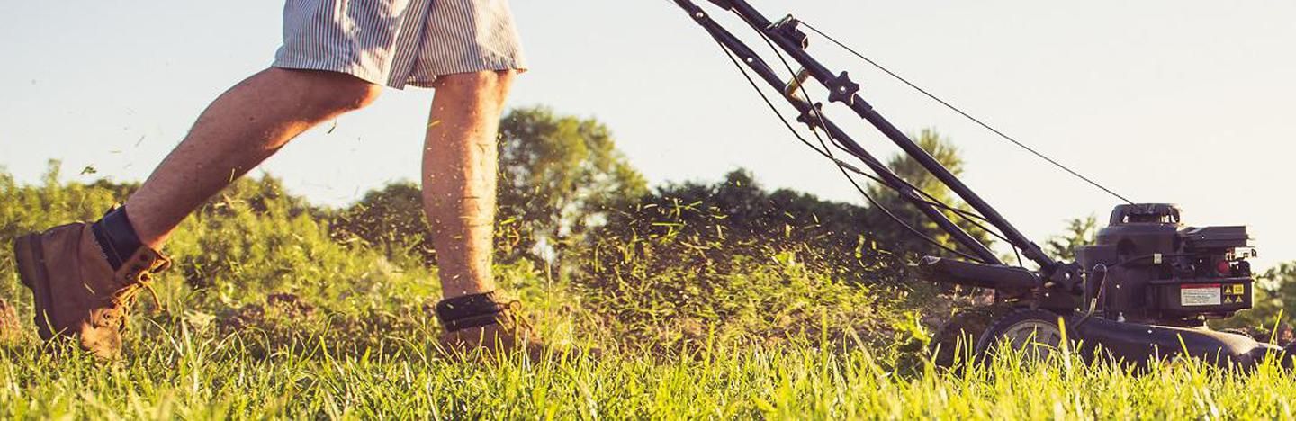 Catastrofaal Aanval Naar behoren Gras maaien onze tips & trics