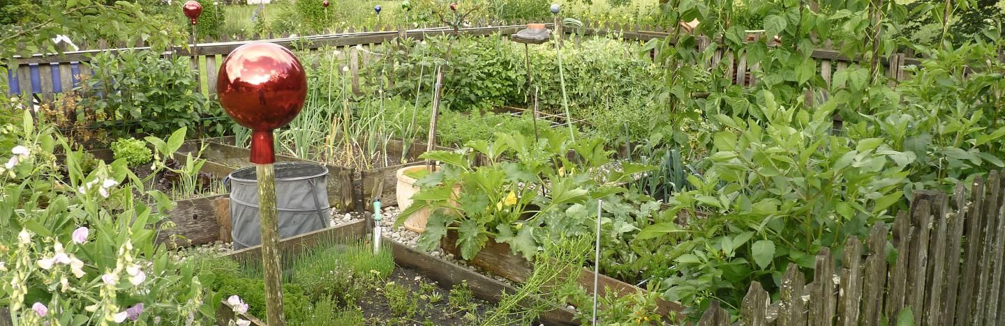 Der Bauerngarten