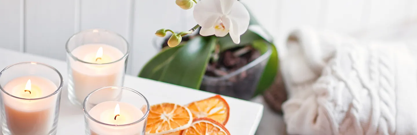 Orchideen Pflege- und Standortfehler