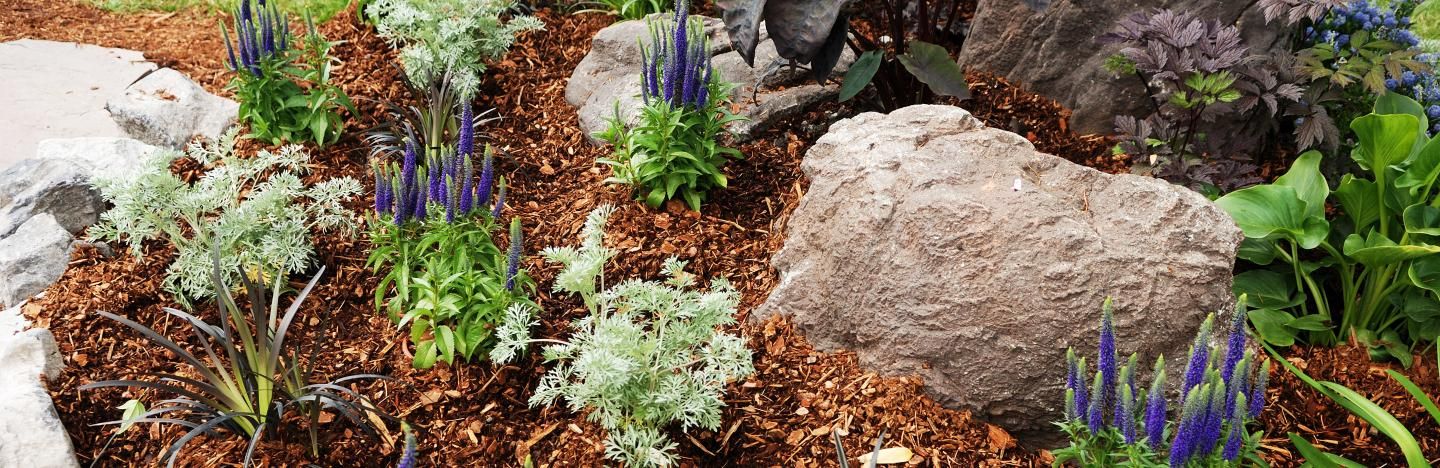 Paillage Au Jardin