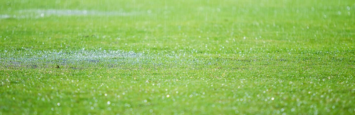 Garden drainage - prevent waterlogging with this useful guide