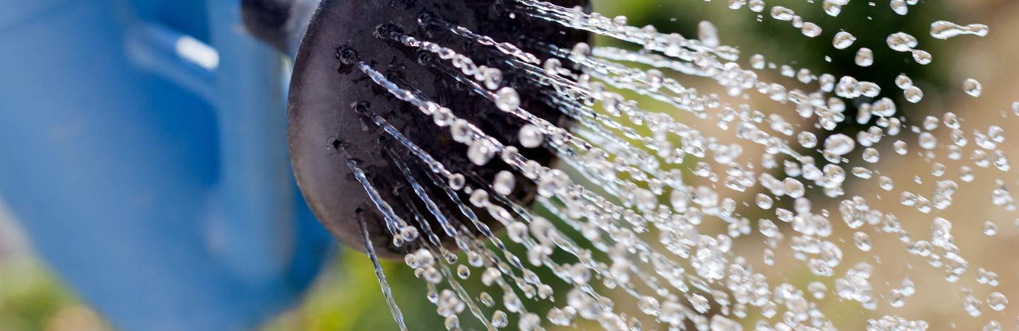L'Irrigation