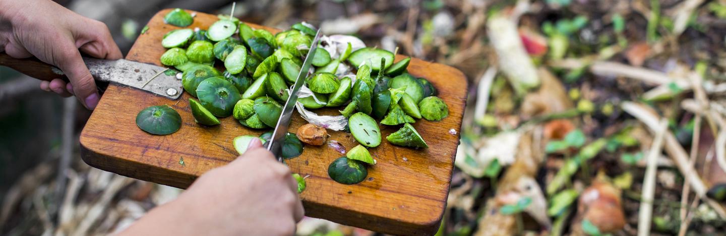 Un Jardin Potager Bio