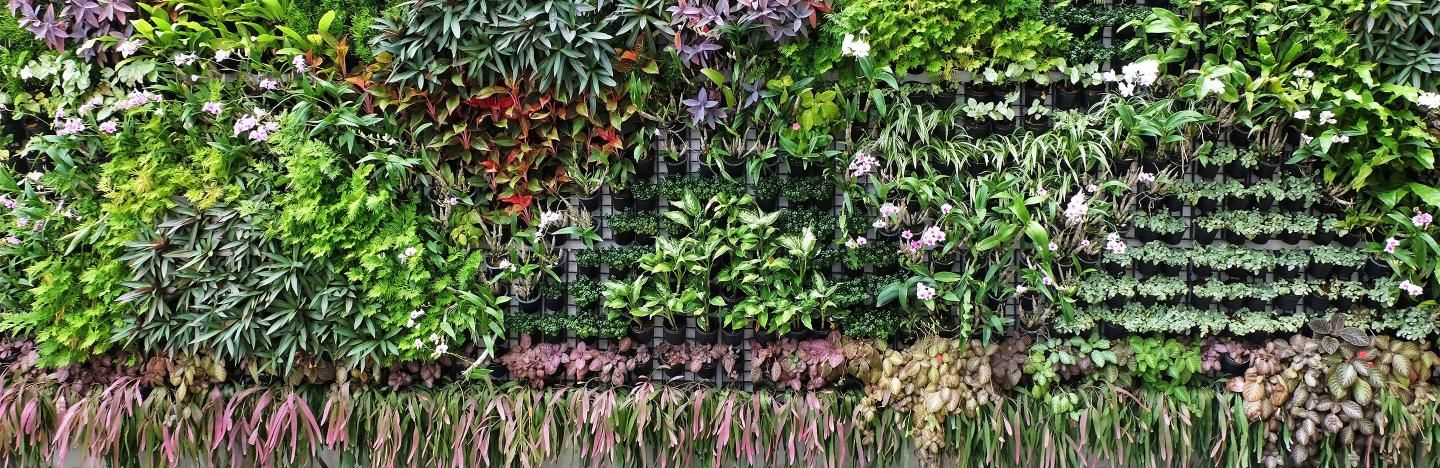 Vertical gardening ideas