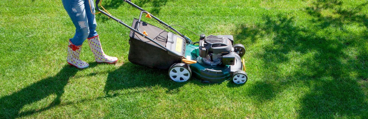 lawn maintenance advice