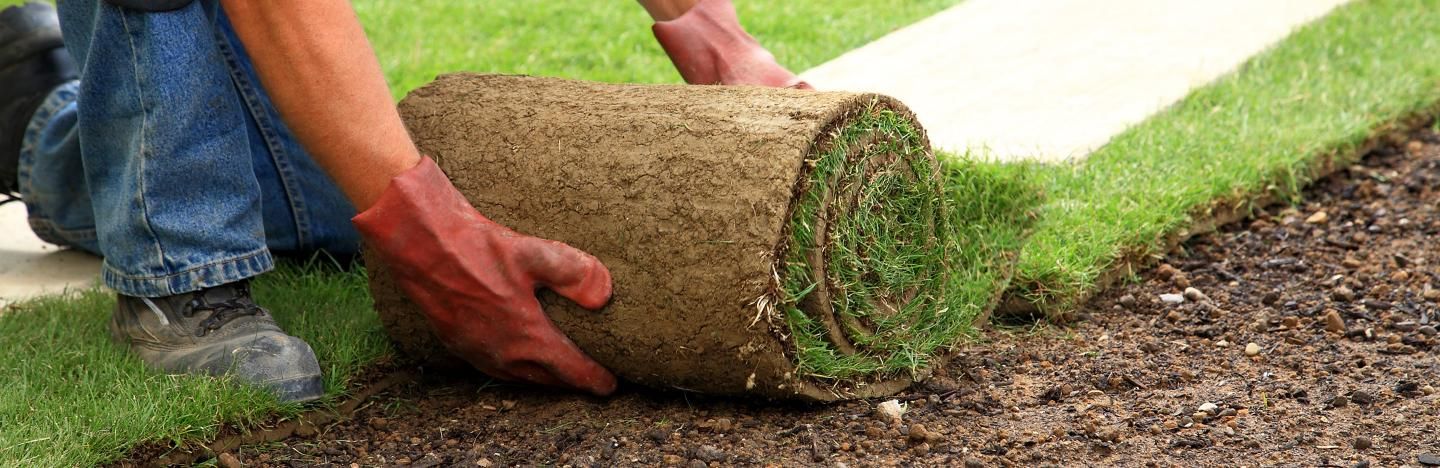How to lay turf