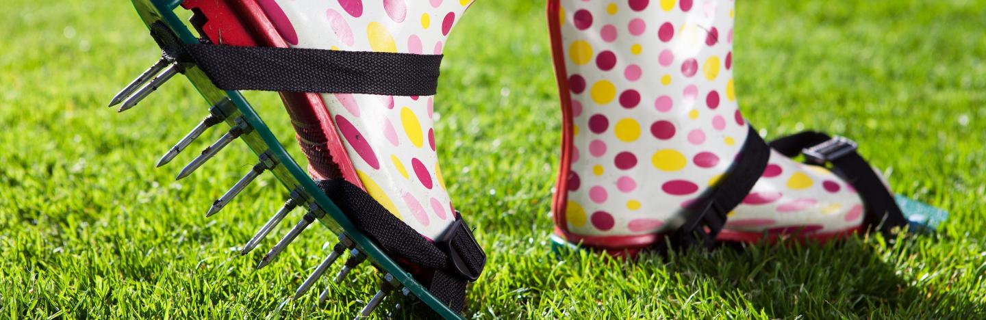 Using a lawn aerator: why, how and when?