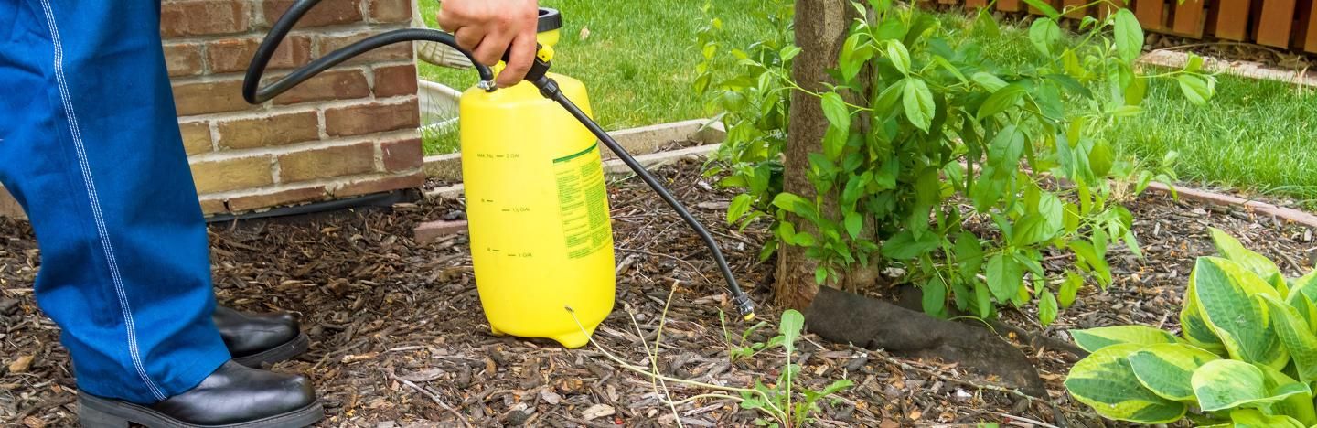 La Bouillie Bordelaise Un Traitement Efficace Dans Son Jardin La Pause Jardin