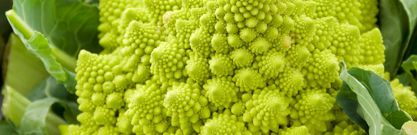 10 unusual vegetables