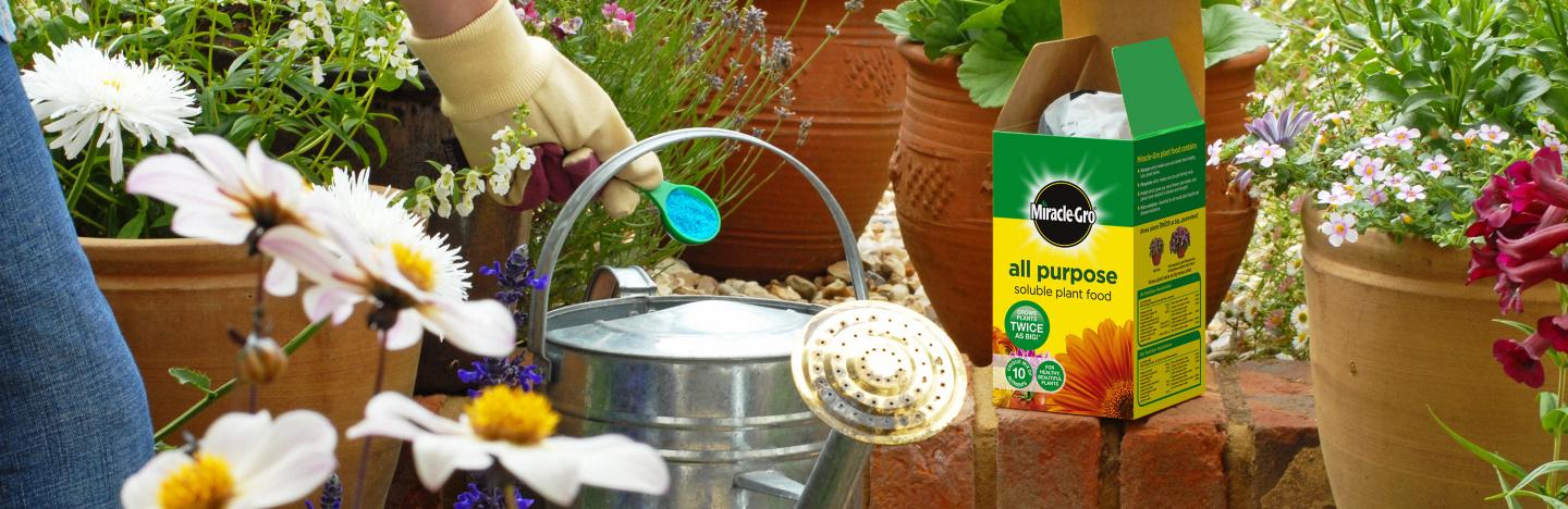How does a fertiliser work?