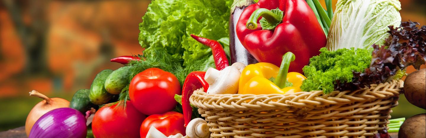 10 easy steps to growing your own food