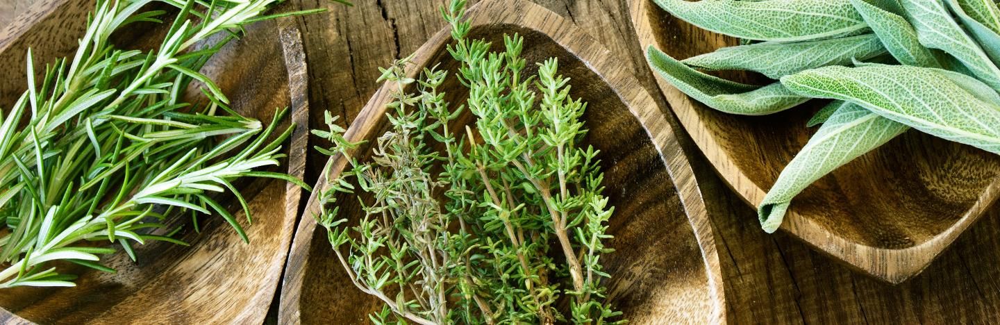 Growing herbs indoors