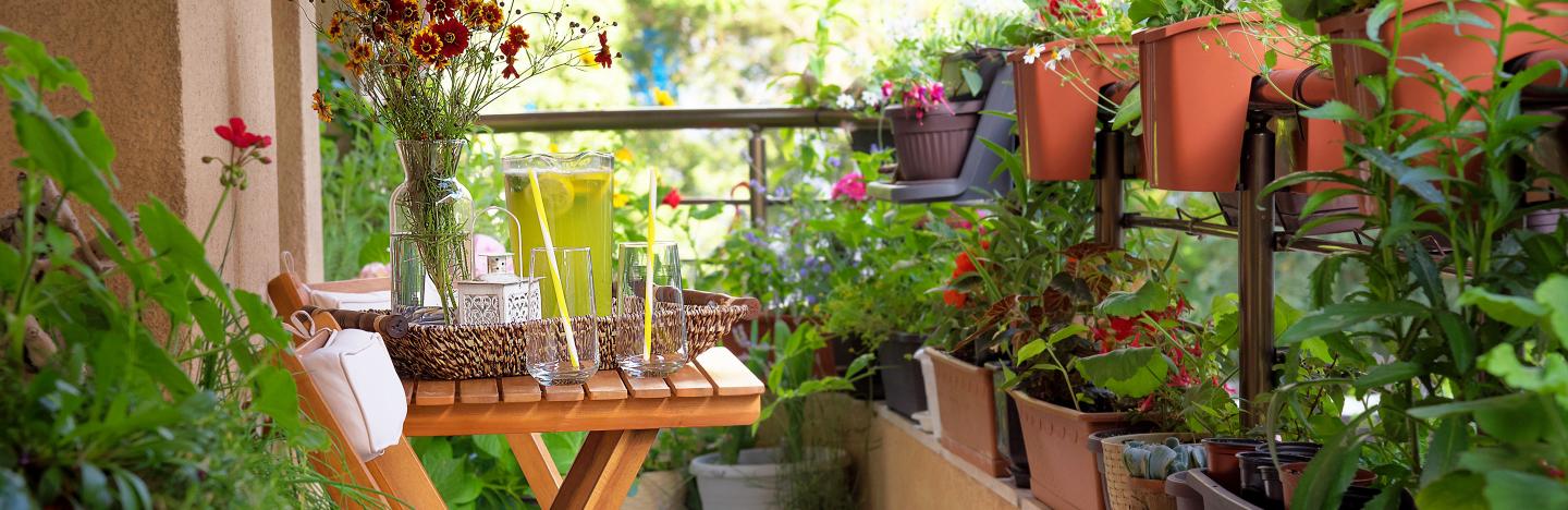 Top tips for balcony garden planters