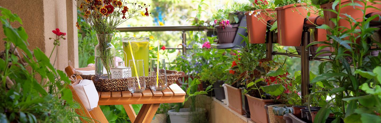 Fleurir Un Balcon Ou Une Terrasse