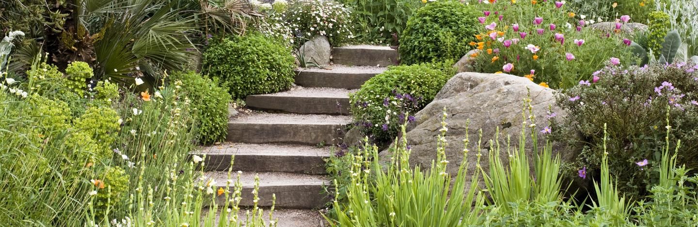Un Jardin En Pente