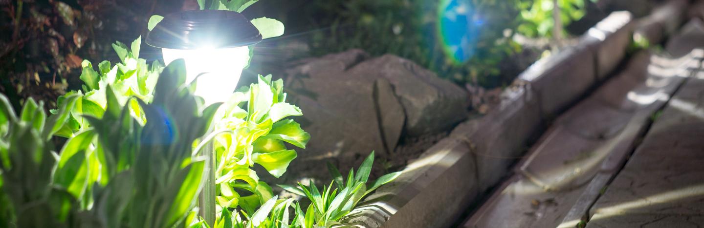 Enhance your garden with lighting