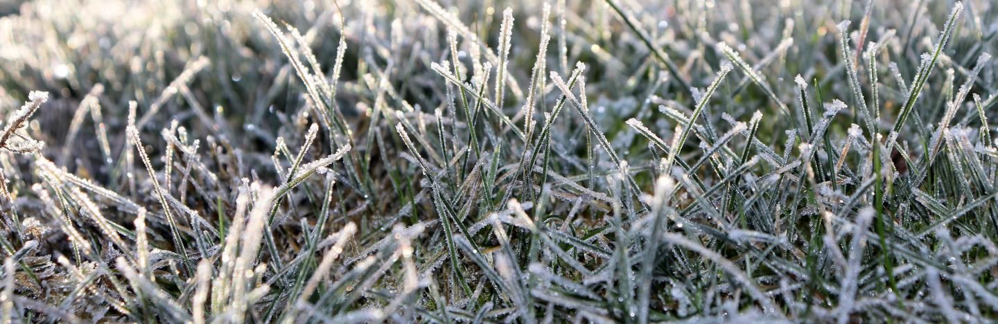 How to prepare your lawn for winter