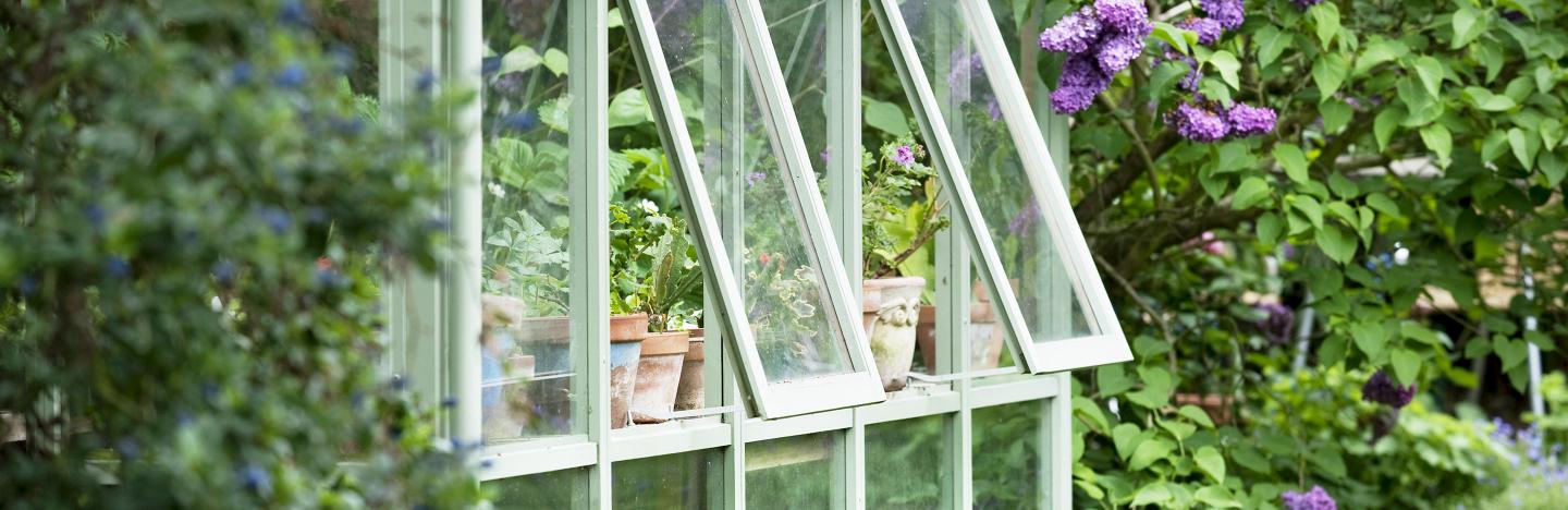 How to clean a greenhouse or conservatory