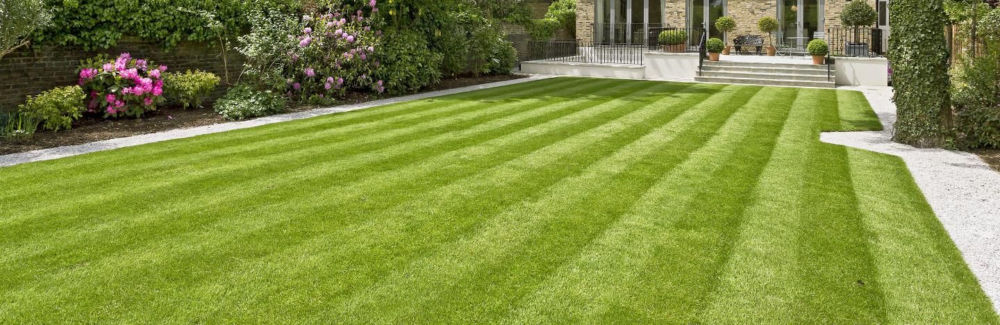 How to water a lawn