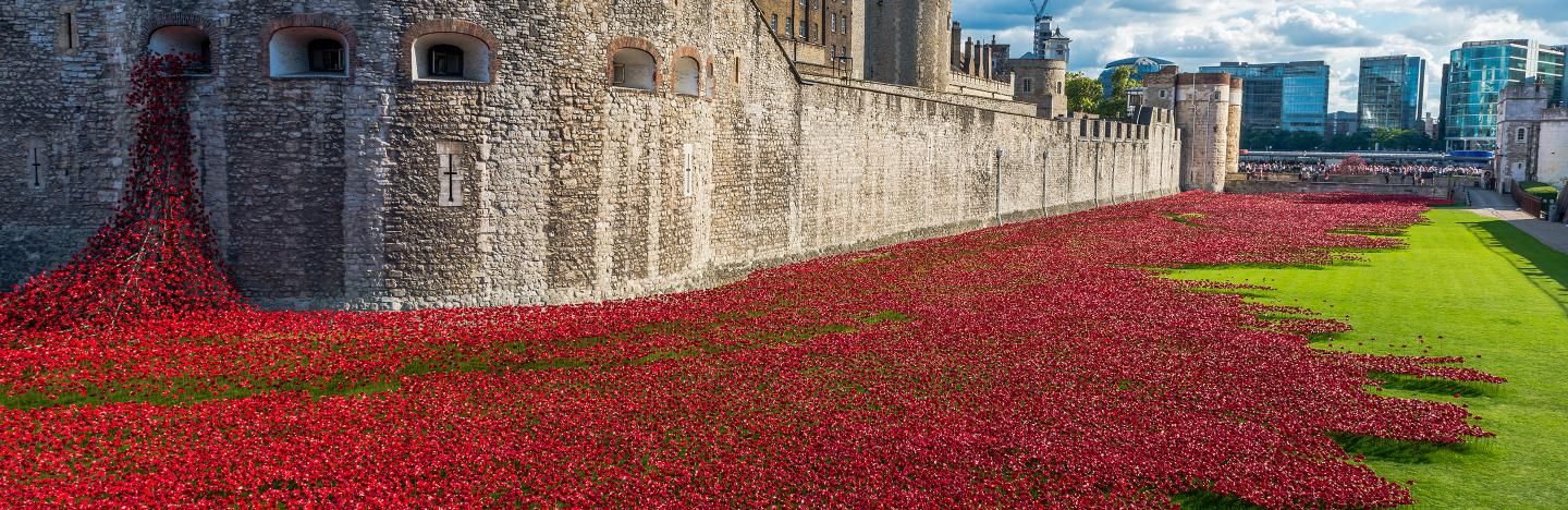 Support the poppy appeal with your remembrance poppy