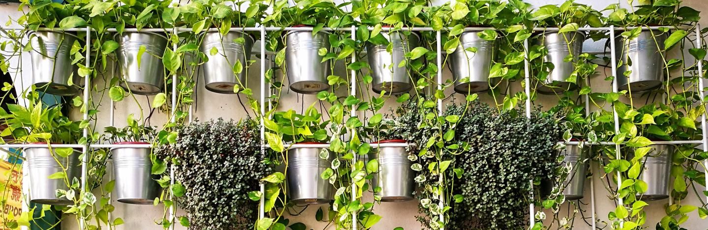 Make your own vertical garden