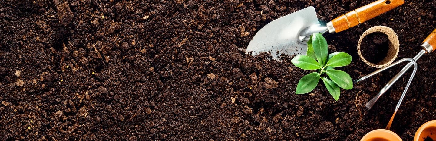 La Culture Biodynamique