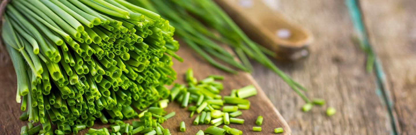Chives (Allium Schoenoprasum)